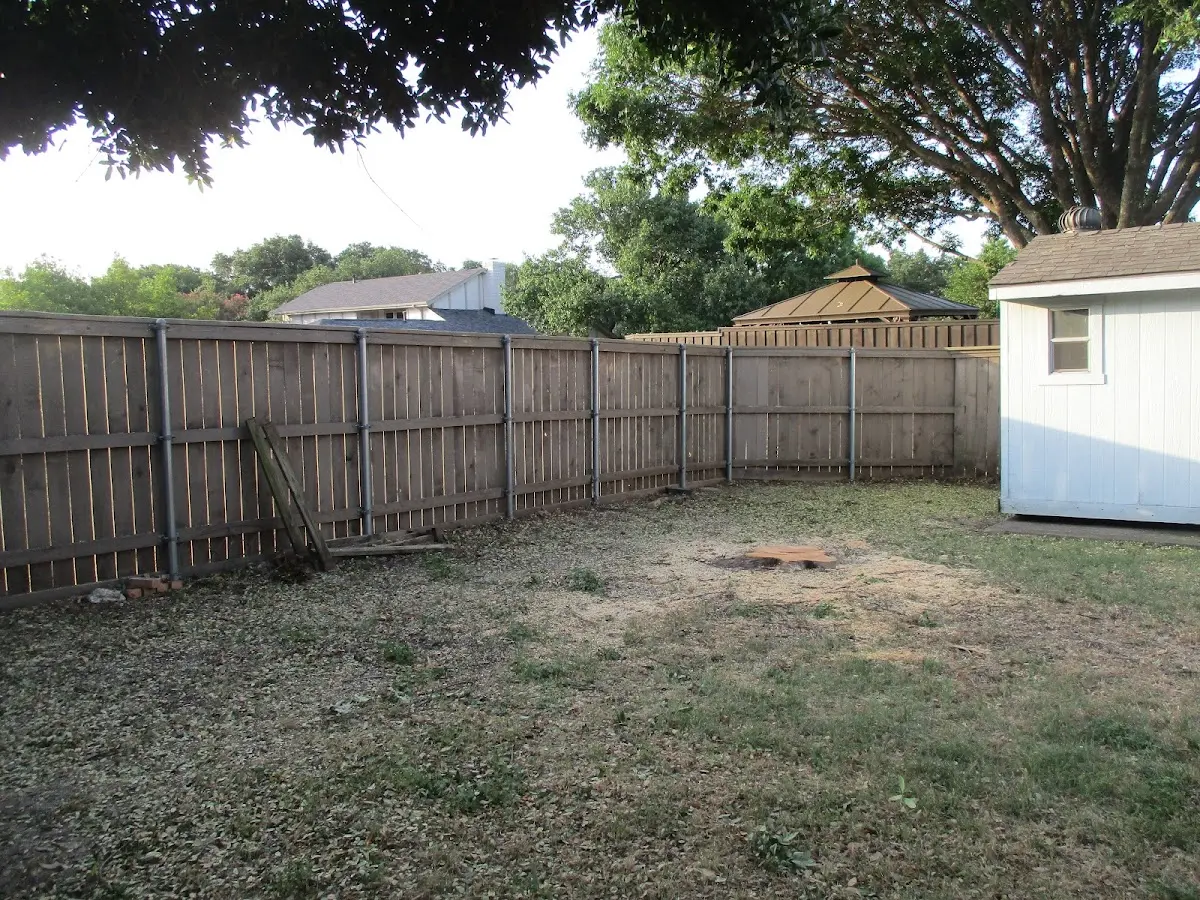 Cleared yard after professional tree removal in Ellisville
